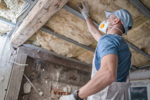 Types of Insulation We Offer in Mount Prospect, IL