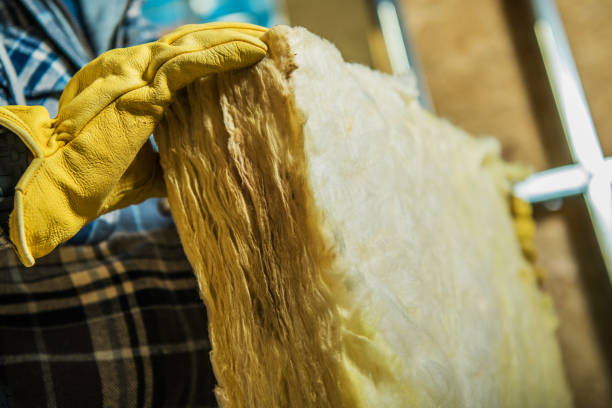 Best DIY Insulation Kits and Guidance in Mount Prospect, IL