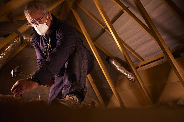 Best Residential Insulation in Mount Prospect, IL